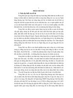 Tiểu luận chất lượng thẩm định tài chính hoạt động cho vay tại các ngân hàng việt nam 