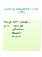 Tiểu luận môn động học xúc tác xúc tác trong quá trình chuyển hóa CO nhiệt độ thấp (LTWGS) 