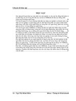 Vận dụng một số phương pháp thống kê phân tích kết quả hoạt động kinh doanh của Ngân hàng TMCP Quân đội giai đoạn 2003-2008 và dự đoán cho các năm tiếp theo