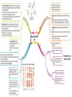 Bằng chứng tiến hóa