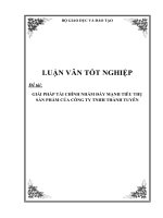Luận văn tốt nghiệp giải pháp tài chính nhằm đẩy mạnh tiêu thụ sản phẩm của công ty TNHH thành tuyên 