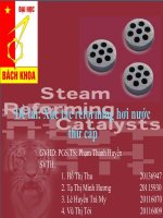 Tiểu luận môn động học xúc tác xúc tác reforming hơi nước thứ cấp 