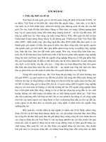 Tiểu luận đẩy mạnh tiêu chuẩn hóa các công ty tàu việt nam trong quá trình hội nhập 