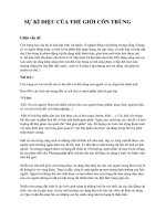 sự kì diệu của côn trùng