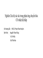 Tiểu luận môn động học xúc tác nghiên cứu hệ xúc tác trong phản ứng chuyển hóa co nhiệt độ thấp 