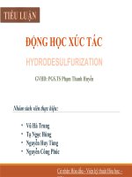 Tiểu luận môn động học xúc tác hydrodesulfurization 