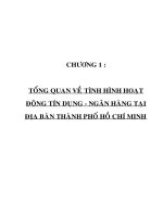 Chuyên đề giải pháp góp phần thu hút khách hàng đối với hoạt động cho vay tại ngân hàng phương đông chi nhánh bến thành 