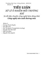 TIỂU LUẬN ÔNHIEEMX MÔI TRƯỜNG KHÔNG KHÍ  Công nghệ sản xuất đường mía