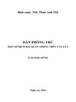 ThS  Phan Anh Thế : Một số sâu bệnh quan trọng trên cây lúa