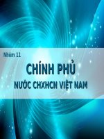 Thuyết trình môn luật hiến pháp chính phủ nước cộng hòa xã hội chủ nghĩa việt nam 