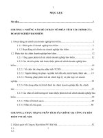 Hoàn thiện phân tích tài chính tại công ty bảo hiểm PVI hà nội 