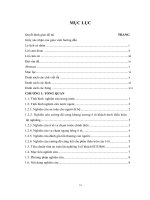 NGHIÊN cứu, THIẾT kế, cải TIẾN TÍNH AN TOÀN lật NGHIÊNG của o tô KHÁCH TRÊN cơ sở TIÊU CHUẨN của CHÂU âu ECE r66