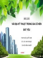 Báo cáo vải địa kĩ thuật