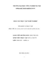 BÁO CÁO THỰC TẬP kế toán tại CTY CP LỮ HÀNH QUỐC TẾ TRUNG  QUỐC  VIỆT NAM