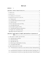 Báo cáo đánh giá tác động môi trường đường cao tốc Hà Nội  Hải Phòng