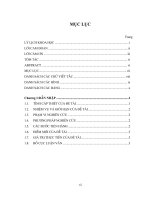 NGHIÊN cứu ĐÁNH GIÁ rủi RO THIỆT hại DO sét