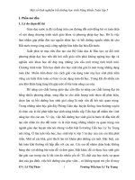 SKKN một số kinh nghiệm bồi dưỡng học sinh năng khiếu toán lớp 5 