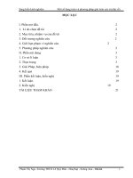 Skkn một số dạng toán và phương pháp giải toán cực trị (đại số) 