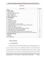 SKKN một số kinh nghiệm khi thành lập hội đồng tự quản của mô hình VNEN 