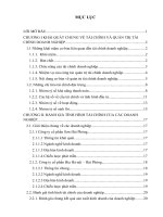 Tìm hiểu và đánh giá tình hình tài chính của Công ty cổ phần Sơn Hải Phòng và Công ty cổ phần Bia Hà Nội – Hải Phòng