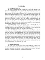 Tiểu luận môn chính sách công  Nâng cao hiệu quả công tác xóa đói giảm nghèo ở huyện pac xê nước cộng hòa dân chủ nhân dân lào