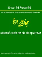 ThS.Phan Anh Thế: Bài giảng giống ngô biến đổi gen đầu tiên tại việt nam