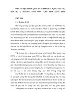 SKKN một số BIỆN PHÁP QUẢN lý NHẰM HUY ĐỘNG TRẺ vào bán TRÚ ở TRƯỜNG mầm NON VÙNG KHÓ KHĂN dân tộc THIỂU số 