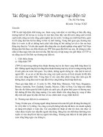 Tác động của TPP tới thương mại điện tử