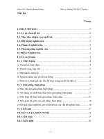 Một số kinh nghiệm trong công tác đội giúp nâng cao hiệu quả hoạt động ở các trường có học sinh dân tộc thiểu số 