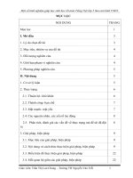 SKKN một số kinh nghiệm giúp học sinh học tốt môn tiếng việt lớp 5 theo mô hình VNEN 