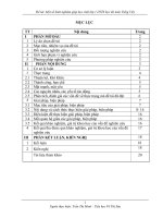 SKKN một số kinh nghiệm giúp học sinh lớp 1 dân tộc thiểu số học tốt môn tiếng việt 