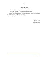 Xây dựng phần mềm kế toán tiền lương tại Công ty Cổ phần và Dịch vụ Phát triển Công nghệ ALLSTARS