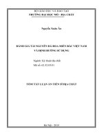 ĐÁNH GIÁ tài NGUYÊN đá HOA MIỀN bắc VIỆT NAM và ĐỊNH HƯỚNG sử DỤNG  