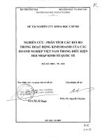 Nghiên cứu phân tích các rủi ro trong hoạt động kinh doanh của các doanh nghiệp việt nam trong điều kiện hội nhập kinh tế quốc tế  
