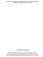 skkn một số biện pháp chỉ đạo nâng cao chất lượng giáo dục lĩnh vực phát triển ngôn ngữ thông qua môn làm quen chữ cái cho trẻ 5 6 tuổi 