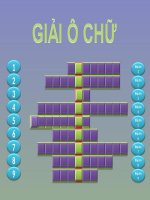 Trò chơi giải ô chữ trong giờ sinh hoạt10 