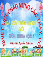 Khoa học 5, phòng bệnh viêm não