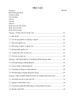 ĐIỀU KHIỂN ĐỘNG cơ KHÔNG ĐỒNG bộ BA PHA DÙNG PHƯƠNG PHÁP TUYẾN TÍNH HOÁ vào RA