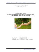 Một số biện pháp nâng cao chất lượng môn khám phá khoa học trong trường mầm non 