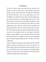 Phân tích tình hình tiêu thụ sản phẩm và một số giải phấp đẩy mạnh công tác tiêu thụ sản phẩm của công ty unilever việt nam 