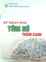 Ebook kỹ thuật nuôi tôm sú thâm canh