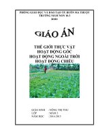 KHÁM PHÁ các LOẠI RAU