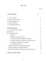 SKKN kinh nghiệm dạy học chương phân số cho học sinh dân tộc thiểu số lớp 4 