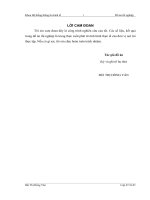 Xây dựng phần mềm kế toán nguyên liệu, vật liệu tại công ty Cổ phần Xây Dựng Trường Sơn – TP Hà Nội