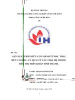 SẢN XUẤT PHÂN BÓN HỮU CƠ VI SINH TỪ RAU CỦ QUẢ TỪ CÁC CHỢ VÀ CÁC SIÊU THỊ TRÊN CẢ NƯỚC