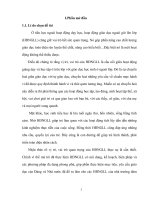 Một số biện pháp tổ chức hoạt động ngoài giờ lên lớp đạt hiệu quả ở trường tiểu học 