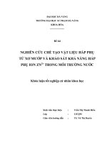 NGHIÊN CỨU CHẾ TẠO VẬT LIỆU HẤP PHỤ TỪ XƠ MƯỚP VÀ KHẢO SÁT KHẢ NĂNG HẤP PHỤ ION ZN2+ TRONG MÔI TRƯỜNG NƯỚC