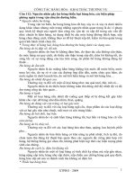 THI SỸ QUAN VẬN HÀNH BOONG PHẦN CÔNG TÁC HÀNG HÓA VÀ KHAI THÁC THƯƠNG VỤ