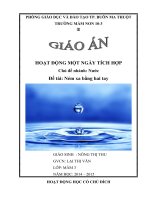 giáo án NÉM XA BẰNG 2 TAY