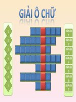 Trò chơi giải ô chữ trong giờ sinh hoạt7